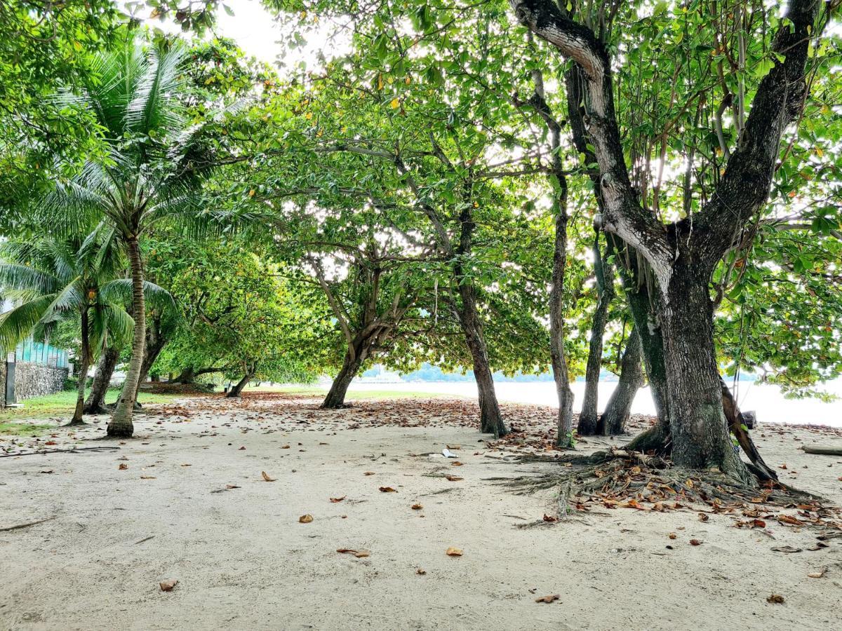 527 Beachhouse L 5 Bedroom With Swimming Pool - 3Min Walk To The Beach Tanjung Bungah  Ngoại thất bức ảnh